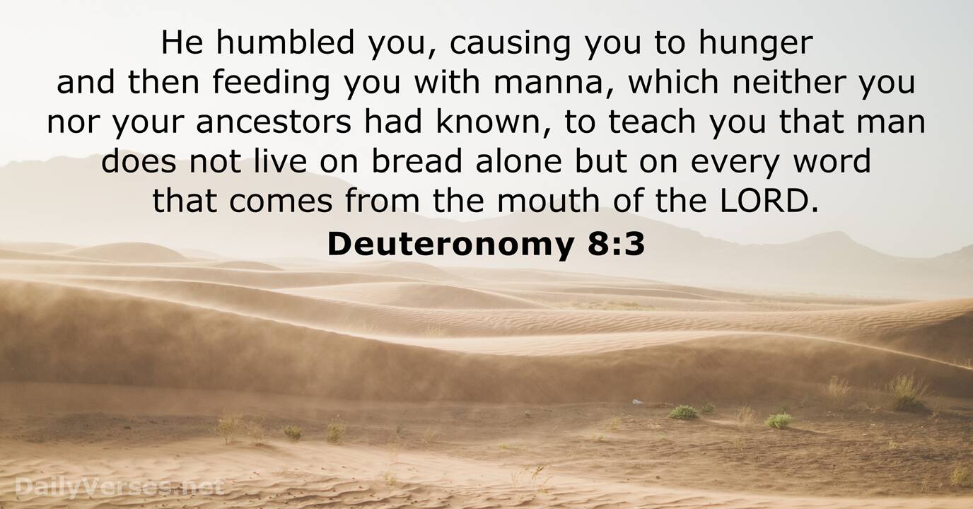 February 3 2019 Bible Verse Of The Day Deuteronomy 83 - 