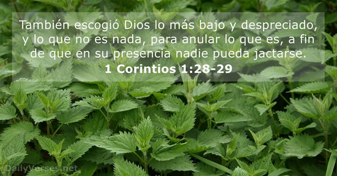 1-corintios 1:28-29