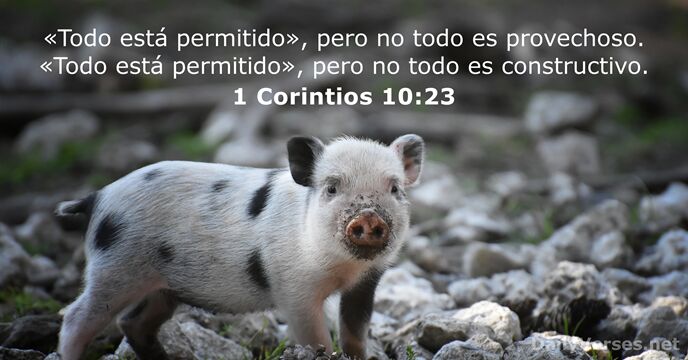 1 Corintios 10:23