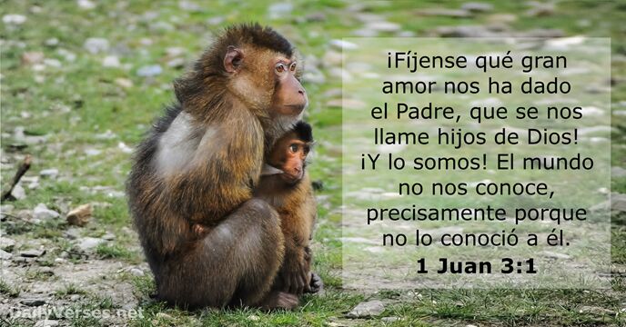 1-juan 3:1
