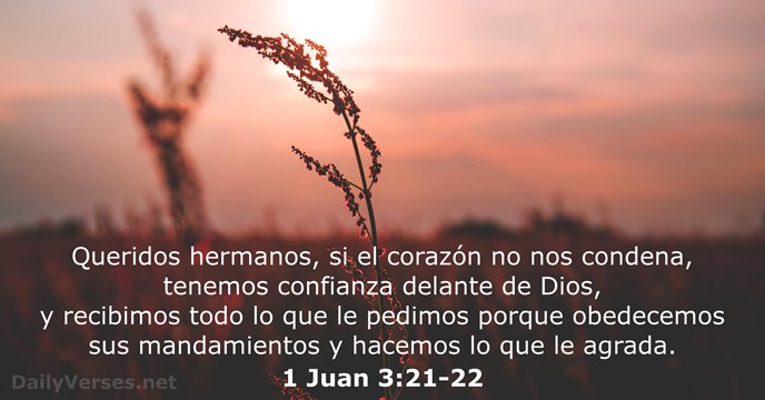 1-juan 3:21-22