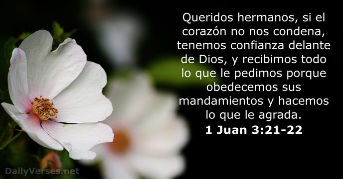 1-juan 3:21-22