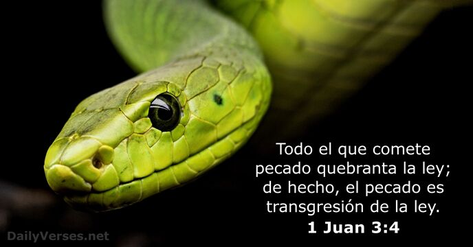 1 Juan 3:4