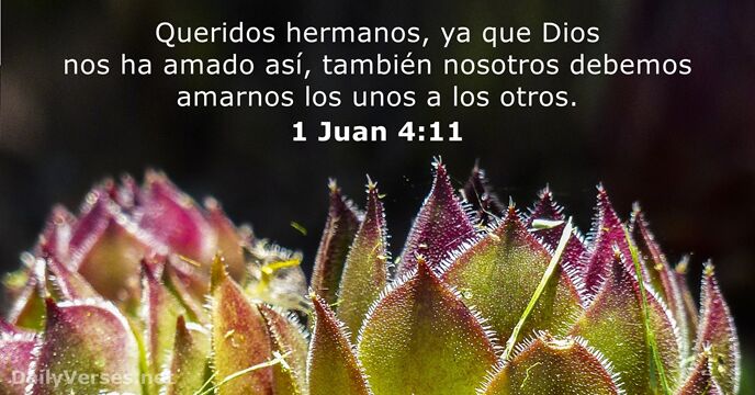 1-juan 4:11