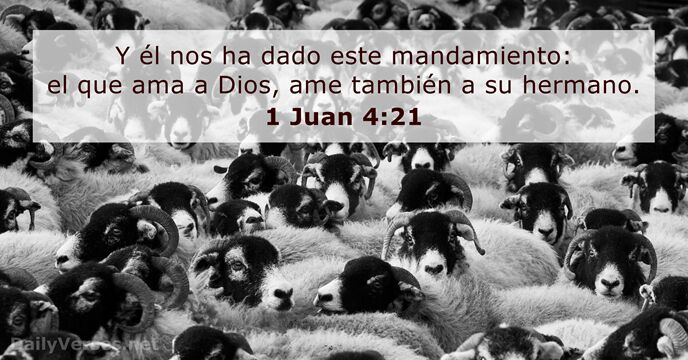 1 Juan 4:21