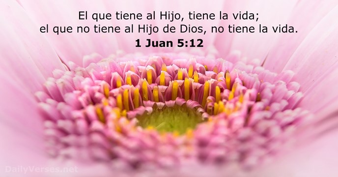 1-juan 5:12