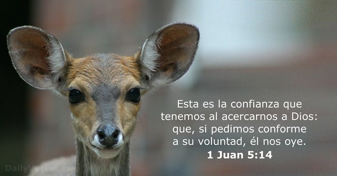 1-juan 5:14