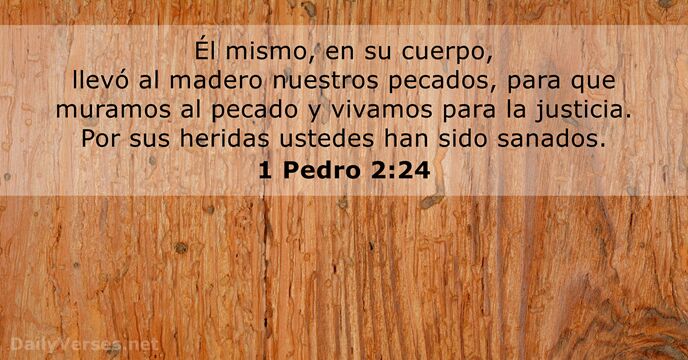 1-pedro 2:24