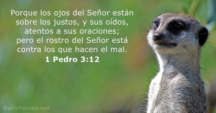 1-pedro 3:12