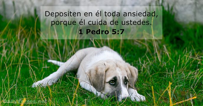 1-pedro 5:7