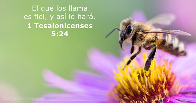 1 Tesalonicenses 5:24