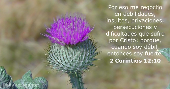 2 Corintios 12:10
