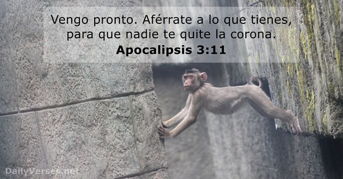 Apocalipsis 3:11