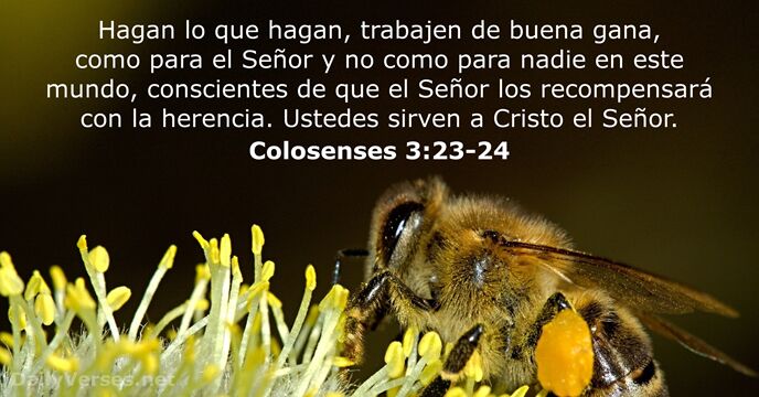 colosenses 3:23-24