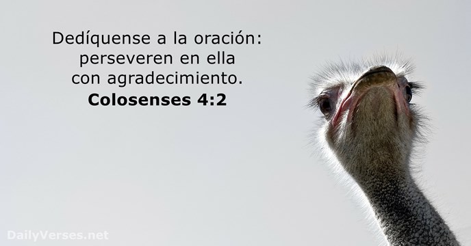 Colosenses 4:2