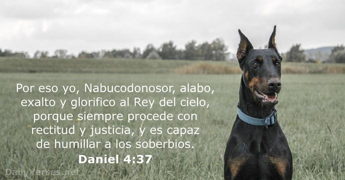 daniel 4:37