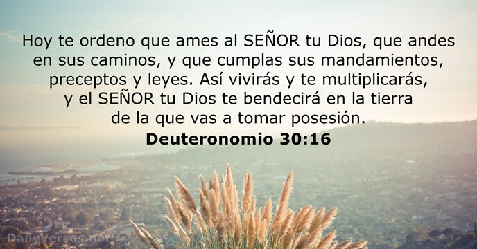 deuteronomio 30:16