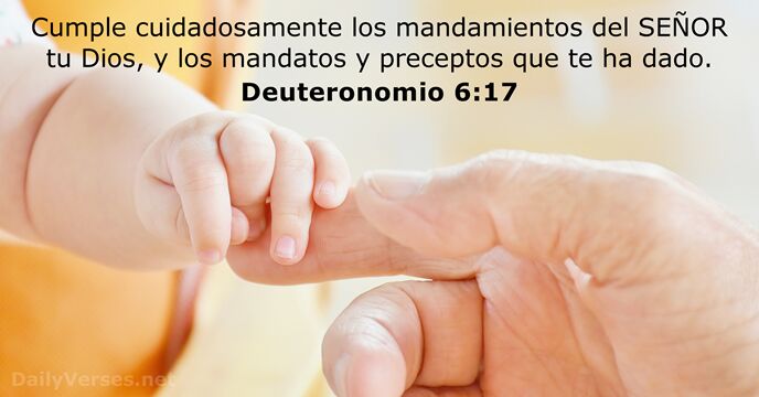deuteronomio 6:17