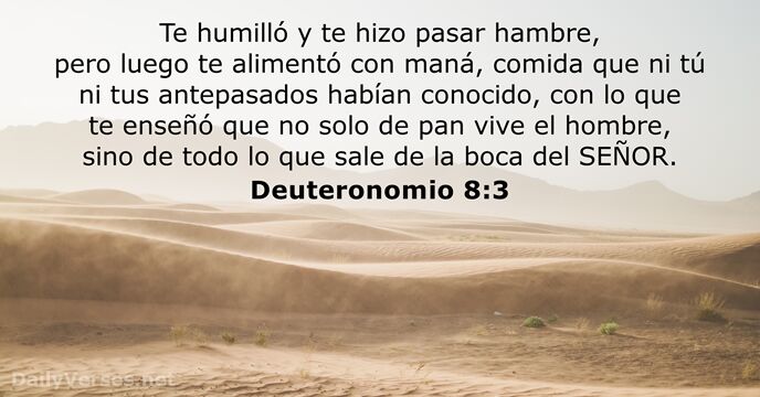 Deuteronomio 8:3