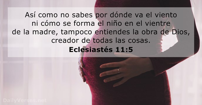 eclesiastes 11:5
