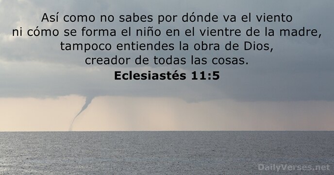 Eclesiastés 11:5 - Versículo de la Biblia del día 