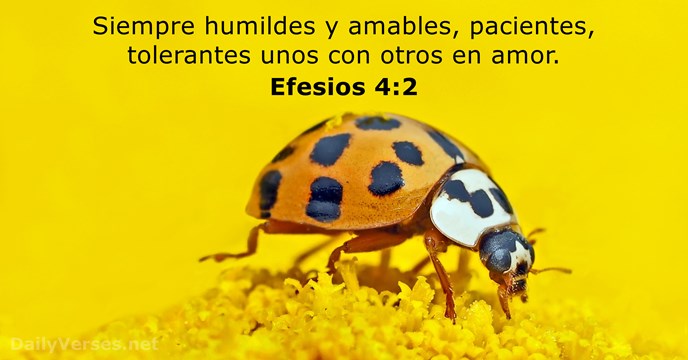 40 Versículos de la Biblia sobre la Humildad - DailyVerses.net