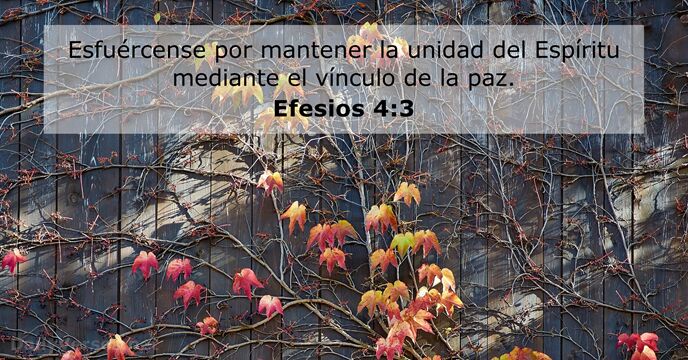 efesios 4:3
