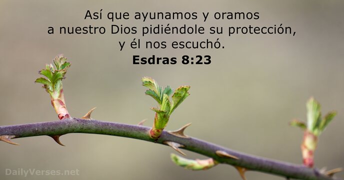 esdras 8:23