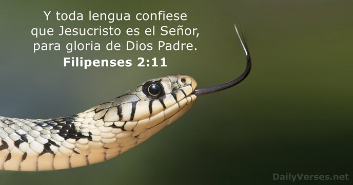 filipenses 2:11