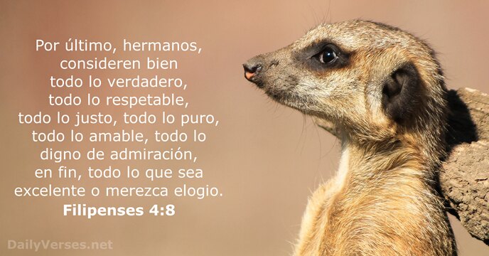 filipenses 4:8