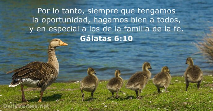Gálatas 6:10