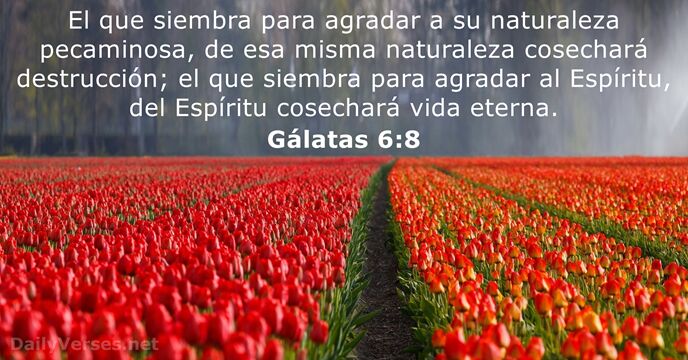 galatas 6:8
