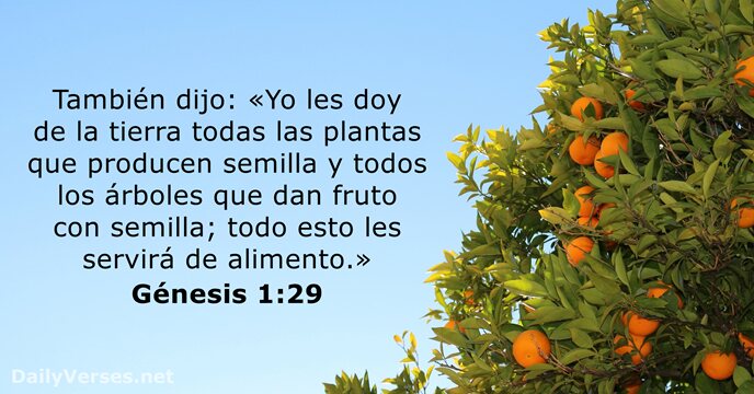 genesis 1:29