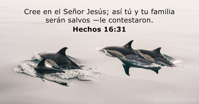 hechos 16:31