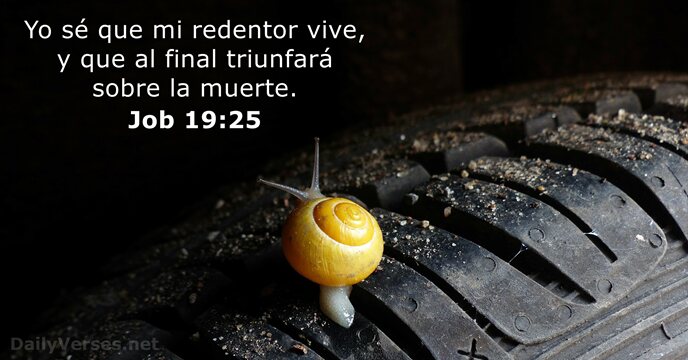 Job 19:25