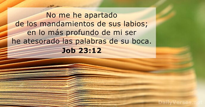 job 23:12