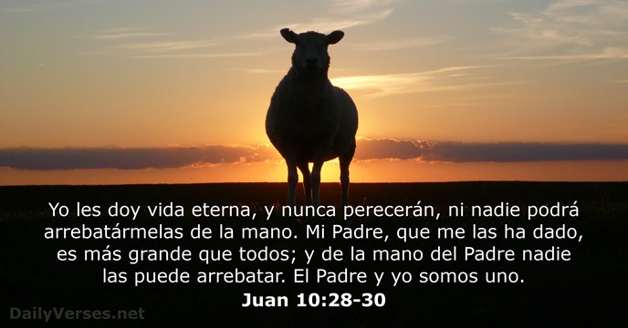juan 10:28-30