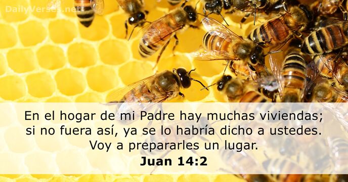 juan 14:2