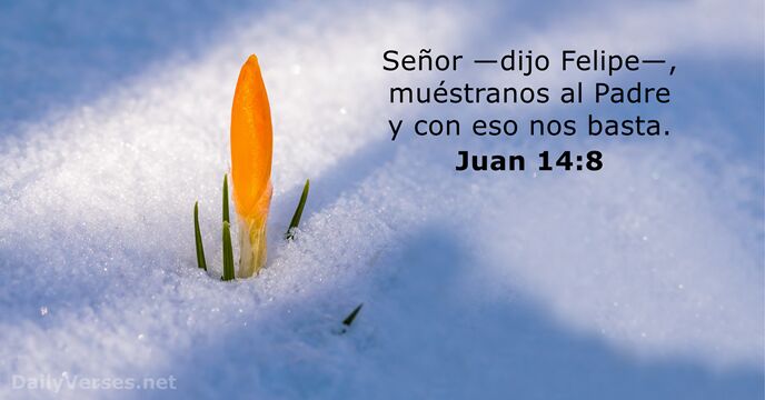 juan 14:8