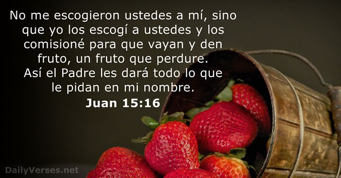 juan 15:16