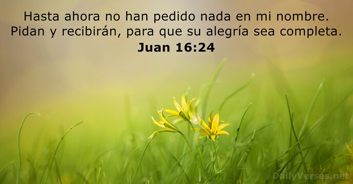 juan 16:24
