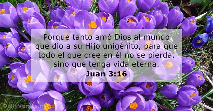 Juan 3:16