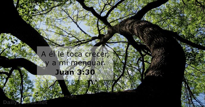 Juan 3:30