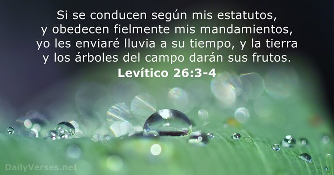 Levítico 26:3-4