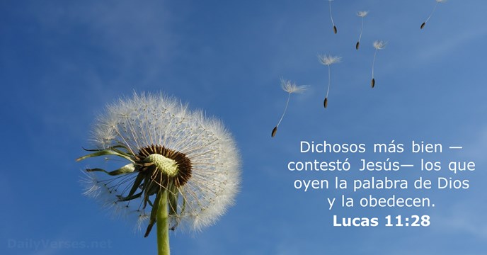 Lucas 11:28