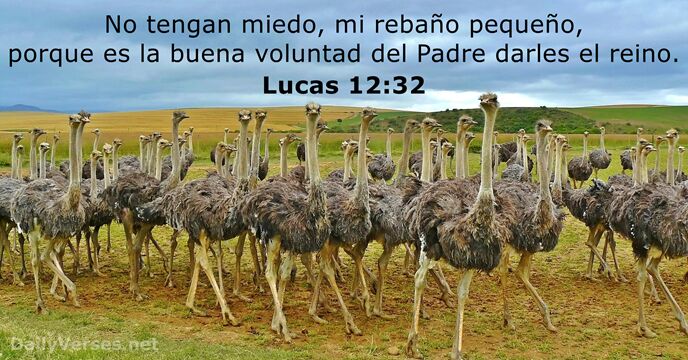 lucas 12:32