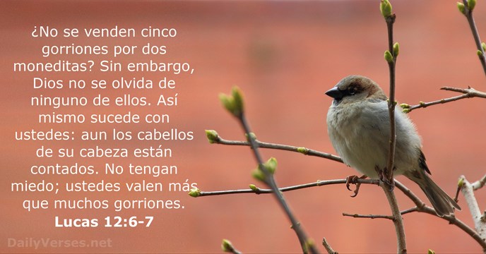 Lucas 12:6-7