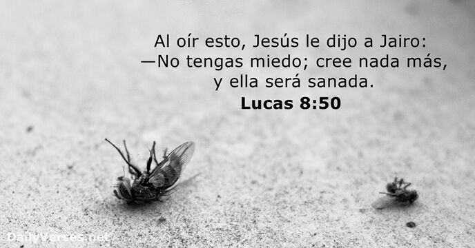lucas 8:50