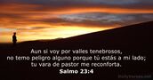 Salmos 23:4