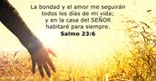 salmos 23:6